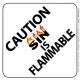 Sin is Flammable Window Winshield Suction Cup